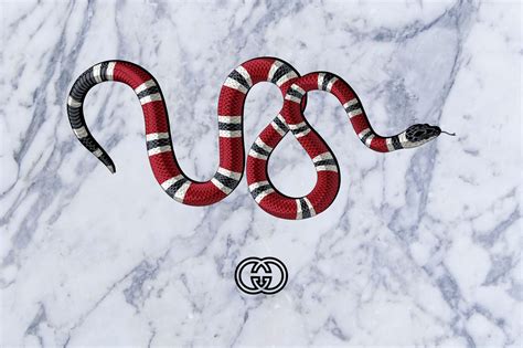 gucci snake wallpaper black|[94+] Gucci Snake Wallpapers .